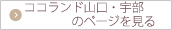 ココランド山口・宇部のページを見る