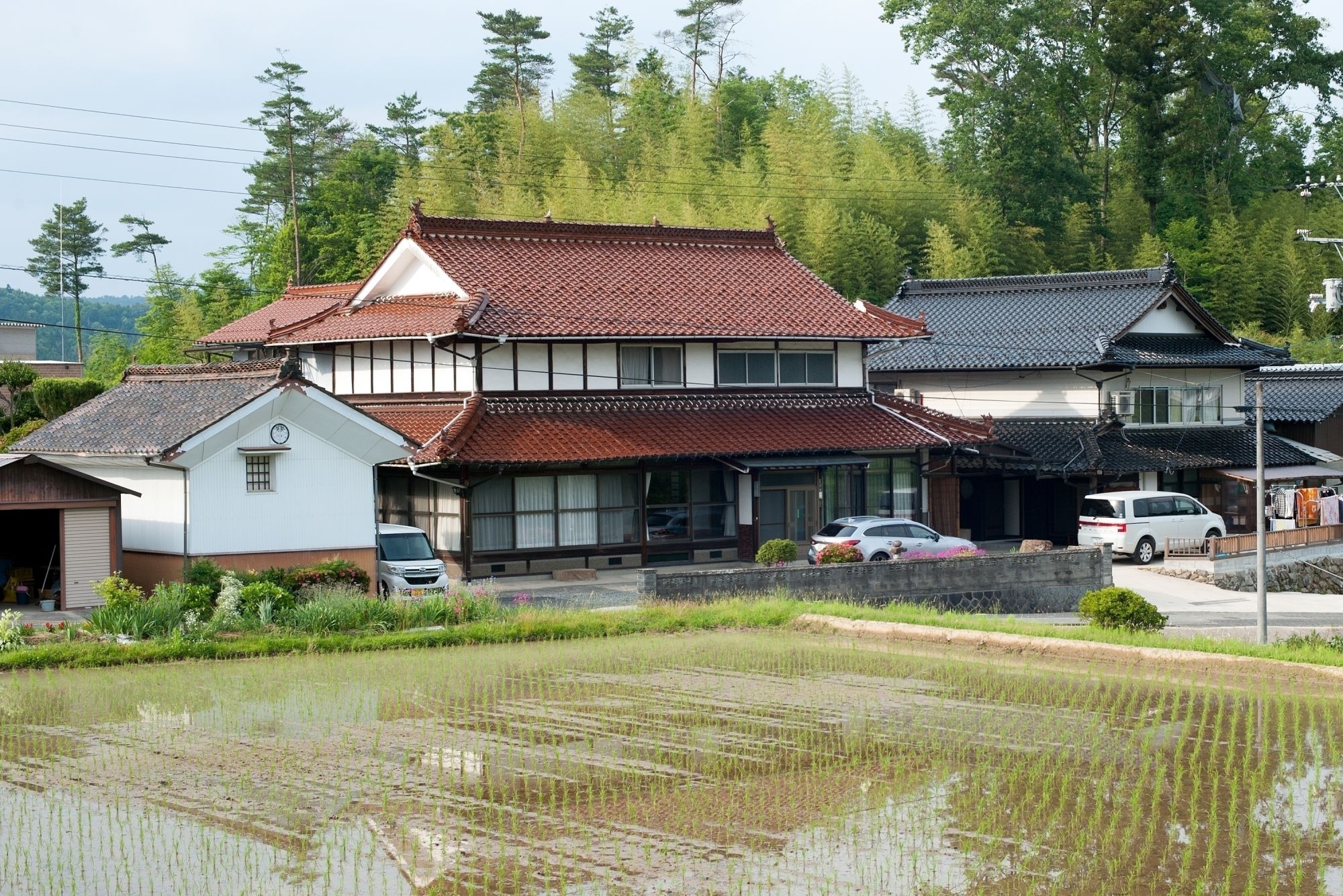 笑顔のやど　穂　明神山から見渡せる広大な農地で米作りをしている宿。